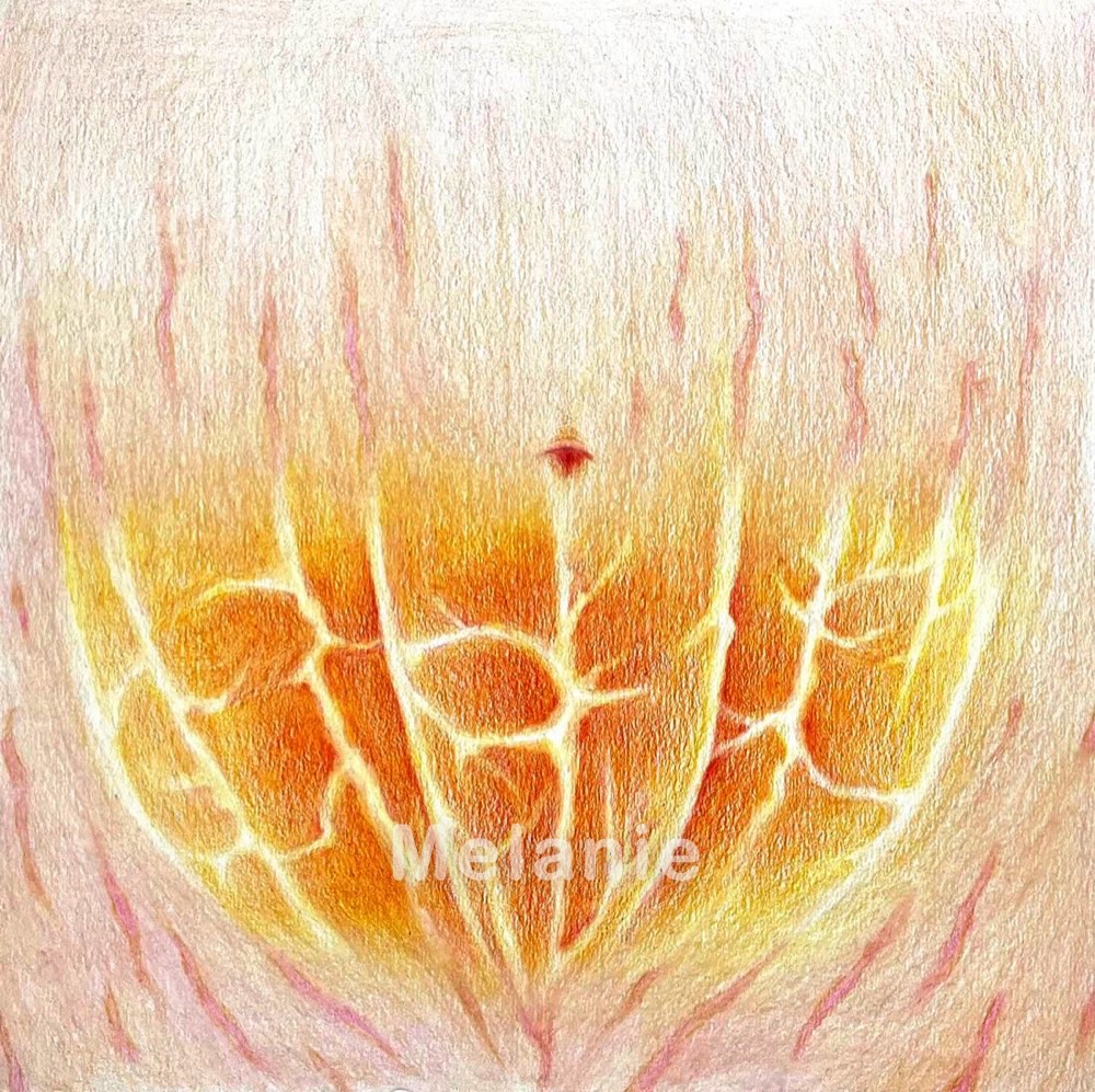 Fruit Skin 3